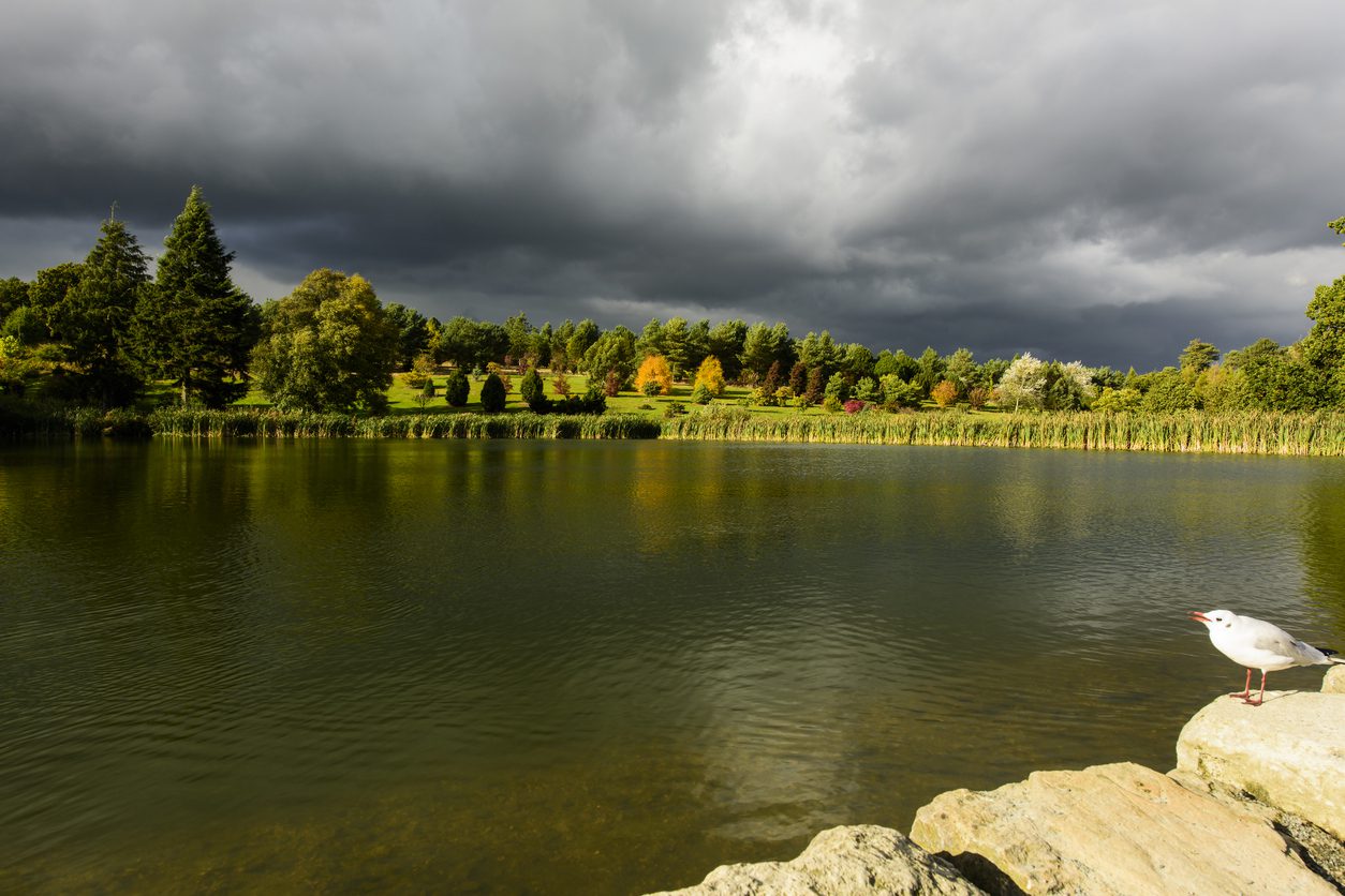 Autumn-Tunbridge-Wells
